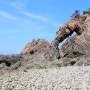 (서산 가볼만한곳) 황금산 몽돌해변과 코끼리바위!