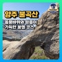 양주 불곡산 찐 등산코스 추천(양주시청~정상~대교아파트)