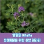 알팔파 ALFALFA 반려동물을 위한 허브 테라피