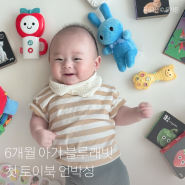 6개월아기 블루래빗 첫 토이북 아기전집 언박싱