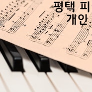[평택 피아노] 다양하게 배우는 평택 피아노 개인 레슨