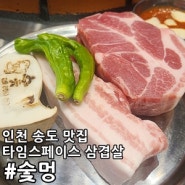 숯멍 인천 송도 맛집 타임스페이스 삼겹살