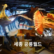 세종 키즈카페, 공룡월드 대전에서 재방문한 찐후기 (Ft.23개월)