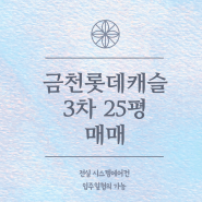 금천롯데캐슬3차 25평 매매