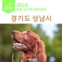 경기도 성남시 2024년 봄 광견병 예방접종