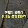 반지하 곰팡이를 없애려면 방바닥 습기부터 잡아야 해요.