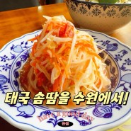 [수원 신동 맛집] 태국음식 먹고싶으면 타이테라스 신동카페거리점