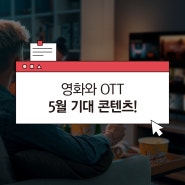 [일상 속 꿀팁] 5월에 볼만한 영화와 OTT 콘텐츠 기대작 소개!