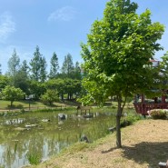 대전피크닉 하기 좋은 유림공원, 공원 속 작은 도서관 문학마을도서관