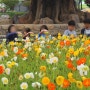 함평나비축제 어린이날행사 함평나비대축제 기본정보 함평엑스포공원
