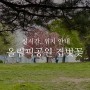 [올림픽공원] 서울 올림픽공원 겹벚꽃 위치, 실시간