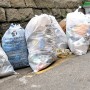 [사소한 역사] 쓰레기 처리 - 중세 유럽선 창 밖으로 쓰레기 던져… 우리나라는 1995년부터 쓰레기 종량제 실시