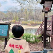 서울대공원 동물원 아이랑 가볼 만한 곳 리프트