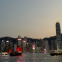 [밤도깨비 홍콩여행] #11 야간의 홍콩 야경