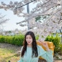 김포공항 스카이파크 벚꽃