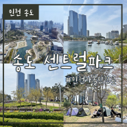 송도 센트럴파크 무료주차 , 보트, 텐트허용, 놀거리, G타워 전망대 총정리