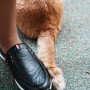 고양이랑 신발 | A7C2, 2070G