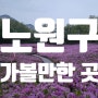 노원구 가볼만한 곳 2024년 4월 불암산 나비정원