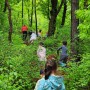 비개인 정글숲 탐험(매일숲유치원)