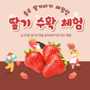 충주 딸기 수확 체험장 모음ㅣ어린이 단체 체험하기 좋은 농촌 체험!🍓