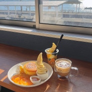일본 마쓰야마 여행 바이신지 미깡파크 바다 기차 뷰 귤 카페