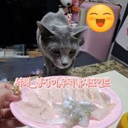 서해낚시:)붕장어낚시/우럭,망둥어 원투낚시 포인트자리를 찾아서_