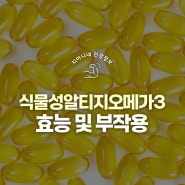 식물성 알티지 오메가3 효능 및 부작용 (rTG) 정리