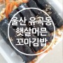 [햇살머믄꼬마김밥] 울산 유곡동 김밥 맛있는곳 꼬마김밥