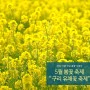 2024년 5월 봄꽃축제 "구리유채꽃축제"