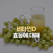 비타민D 결핍 및 비타민D 효능, 많은 음식, 하루 권장량 정리