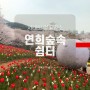 벚꽃명소 서대문 연희 숲속쉼터 안산자락길 홍제동 폭포카페 봄빛축제