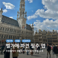 [벨기에] 🇧🇪 KU Leuven 브뤼셀 교환학생 필수 앱 | 유럽 유학생 유용한 앱 추천 | 학업 교통 취미 금융 | 모인으로 해외 송금하기
