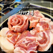 송도 센트럴파크 맛집, "당산오돌" 돼지 특수부위 꼬들살, 껍데기 후기