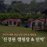 충남 당진 잔디가 예쁜 캠핑장 진경원 민박, 캠핑장