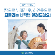 땀으로 누래진 옷, 하얀옷으로 되돌리는 똑똑한 세탁법 알려드려요!