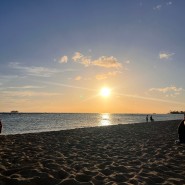 [하와이여행] 오하우섬 선셋명소 와이키키 가지말고 여기로 오세요! 알라모아나 비치 & 알라모아나 비치파크🌴🩷