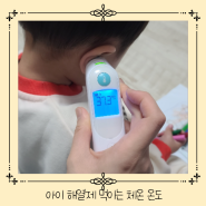 아이 열날때 아기 해열제 먹이는 온도, 아이 정상체온 범위, 체온재는 법 양쪽 귀 체온 다를때