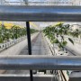 경남 밀양에 있는 스마트팜 혁신밸리에 스마트팜 환경제어관리와 딸기 재배 생산관리 강의