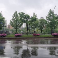 비오는 날의 출근길(+3콤보, 오늘의 날씨)