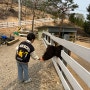 [여주] 산속애 : 동물 먹이주기 체험, 카페메뉴도 다양한 곳 / 여주 아이와 가볼만한 곳