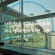 [flight] 미국행 비행기 티켓 구매하기 대한항공 KOREAN AIR 앞자리 추가와 수화물 추가비용