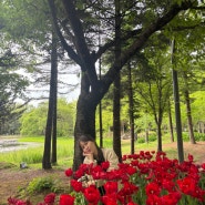 4월 서울숲 튤립축제 작은동물원 힐링 가득한 서울 데이트