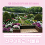 경기 성남 데이트 신구대학교 식물원 튤립축제