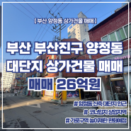 부산 부산진구 양정동 상가건물 매매 feat. 신축 대단지