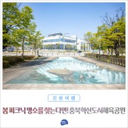 봄 피크닉 명소를 찾는다면! 진천 충북혁신도시체육공원