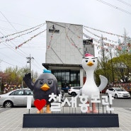 울산가볼만한곳 철새홍보관 태화강 조류생태관광 홍보단