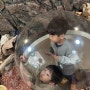 경남 가볼만한곳 아이들이 좋아하는 의령곤충생태학습관