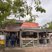 [뉴질랜드 북섬 D+13] 오클랜드 근교 마타카나 빌리지 파머스 마켓 (Matakana Village Farmers Market)