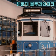 부산 해운대 블루라인파크 스카이캡슐 미포 청사포 해변열차 코스 예약