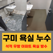 구미 석적 우방 신천지 아파트 누수 ( 하루만에 해결 )